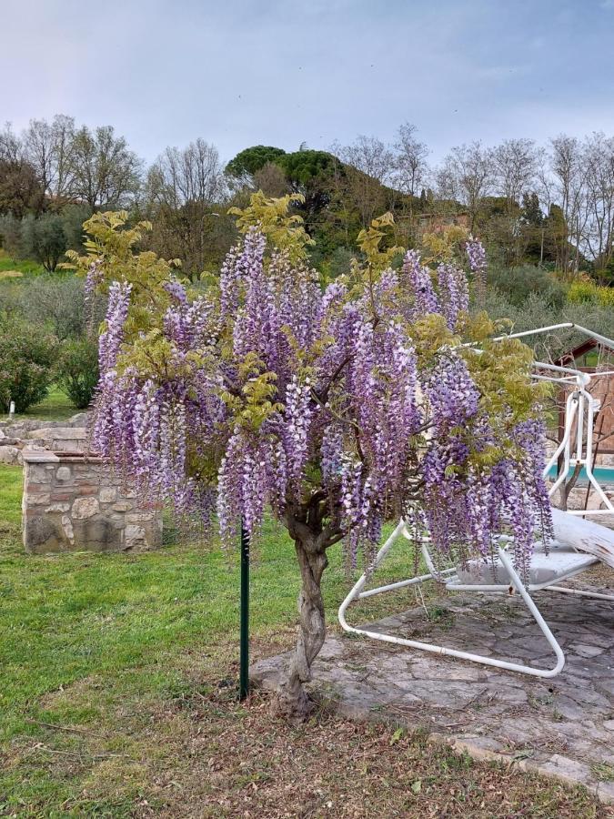 Agriturismo Camera Rosa โตดี ภายนอก รูปภาพ